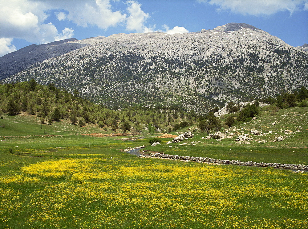 Springtime in the hills near Guzelyurt, south of Nevsehir, Anatolia, Turkey, Asia Minor, Eurasia