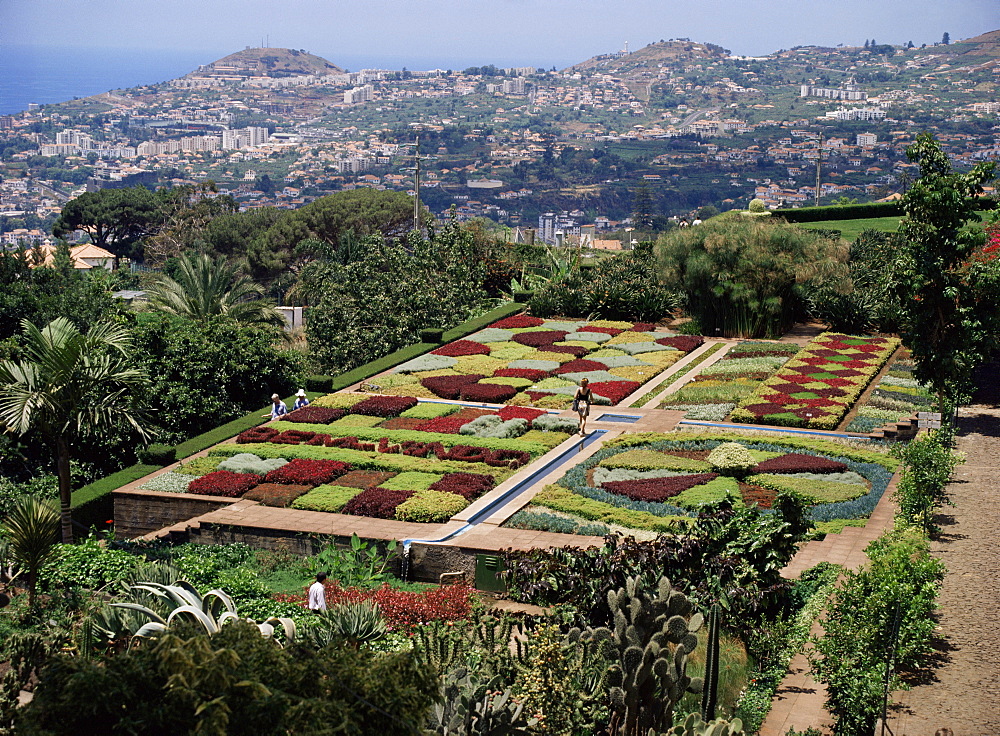 Botanical Gardens, Quinta de Bom Sucesso, Funchal, Madeira, Portugal, Europe