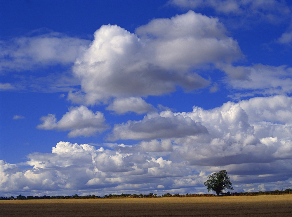 Blue sky with white clouds over farmland near Burford, Oxfordshire, England, United Kingdom, Europe