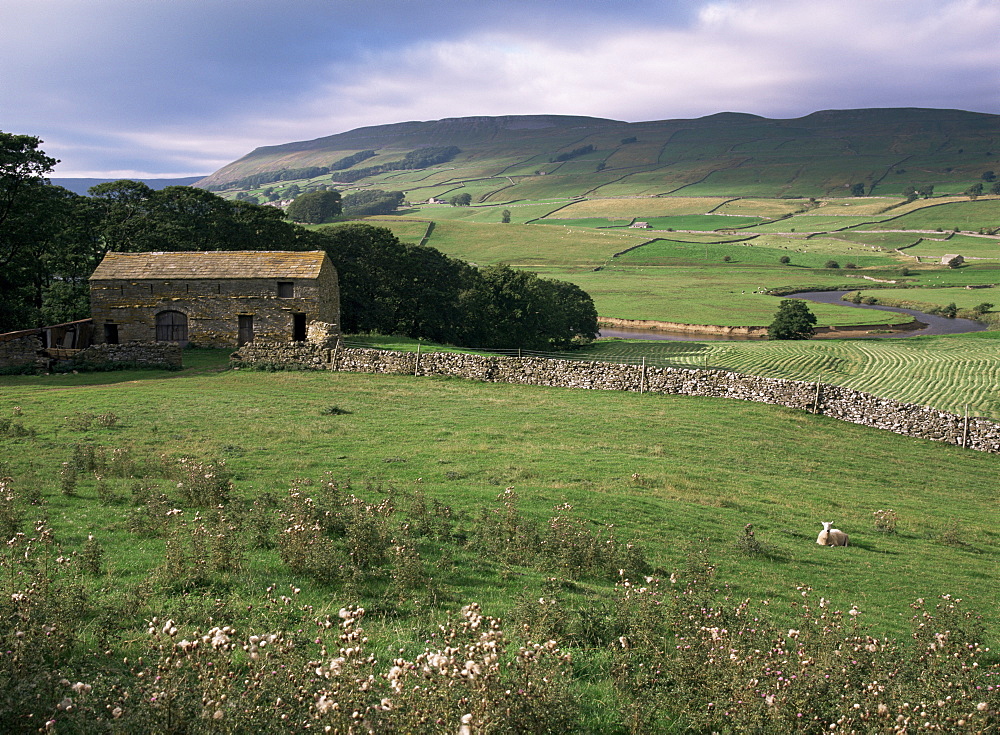 Garsdale, Yorkshire, England, United Kingdom, Europe