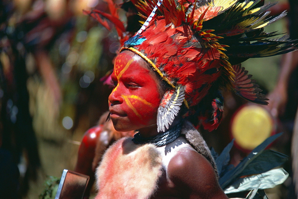 Young Frigano boy with facial decoration and head dress of feathers, Papua New Guinea, Pacific