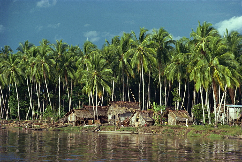 A riverside village beneath palm trees in the Gulf Province of Papua New Guinea, Pacific Islands, Pacific