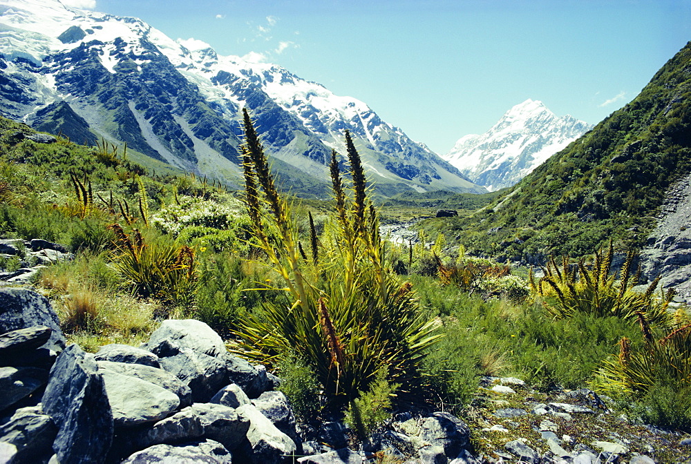 Mount Cook, Westland National Park, South Island, New Zealand, Pacific