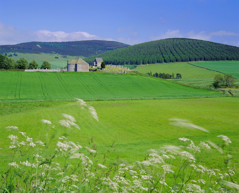 Kildrummy, the Grampians, Scotland, UK, Europe