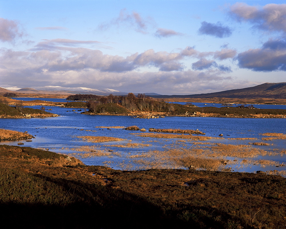 Loch Ba, Rannoch Moor, Strathclyde, Scotland, United Kingdom, Europe