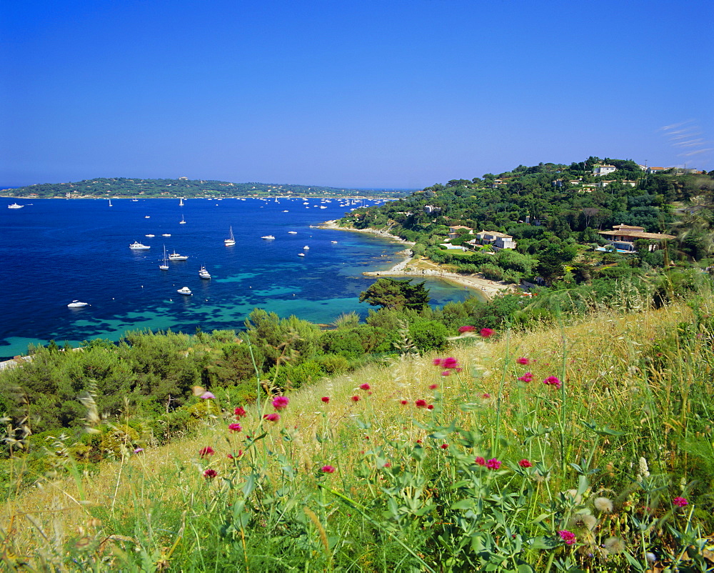 Cap St. Pierre and Baie des Gonebiers, Cote d'Azur, Provence, France, Europe