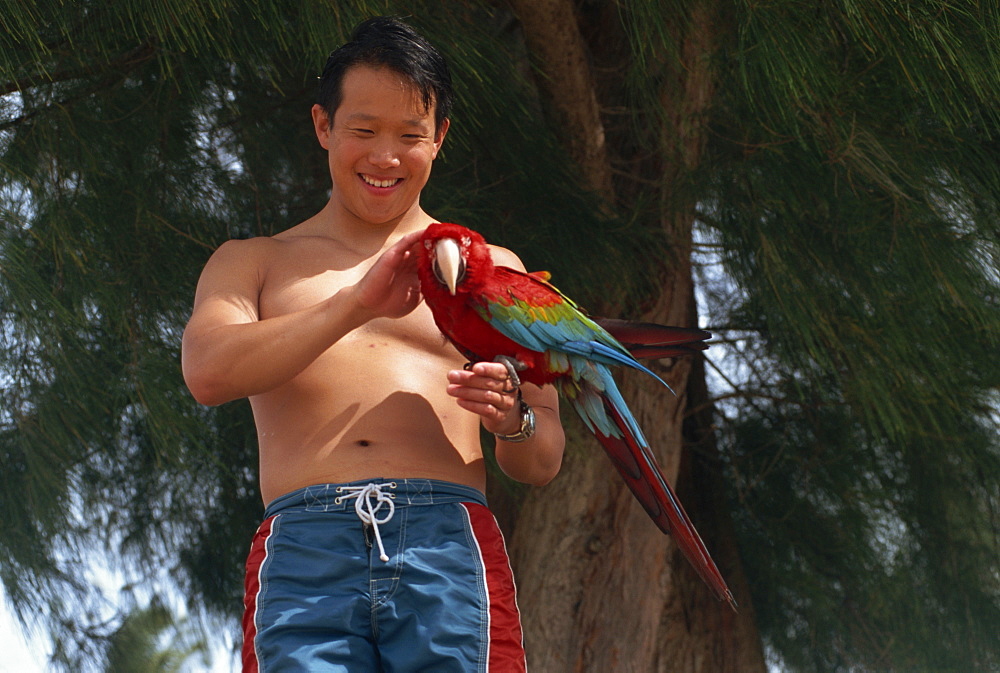 Young man holding parrot, Kauai, Hawaii, Hawaiian Islands, United States of America, Pacific, North America