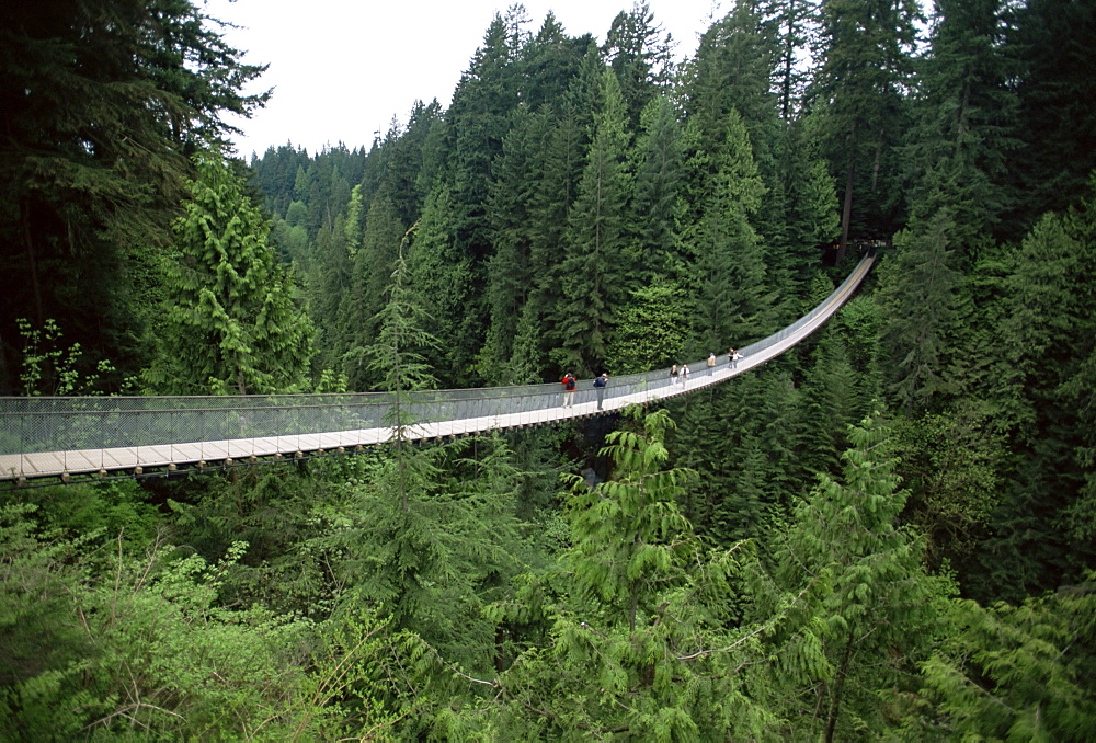 Capilano Suspension Bridge, Vancouver, British Columbia, Canada, North America