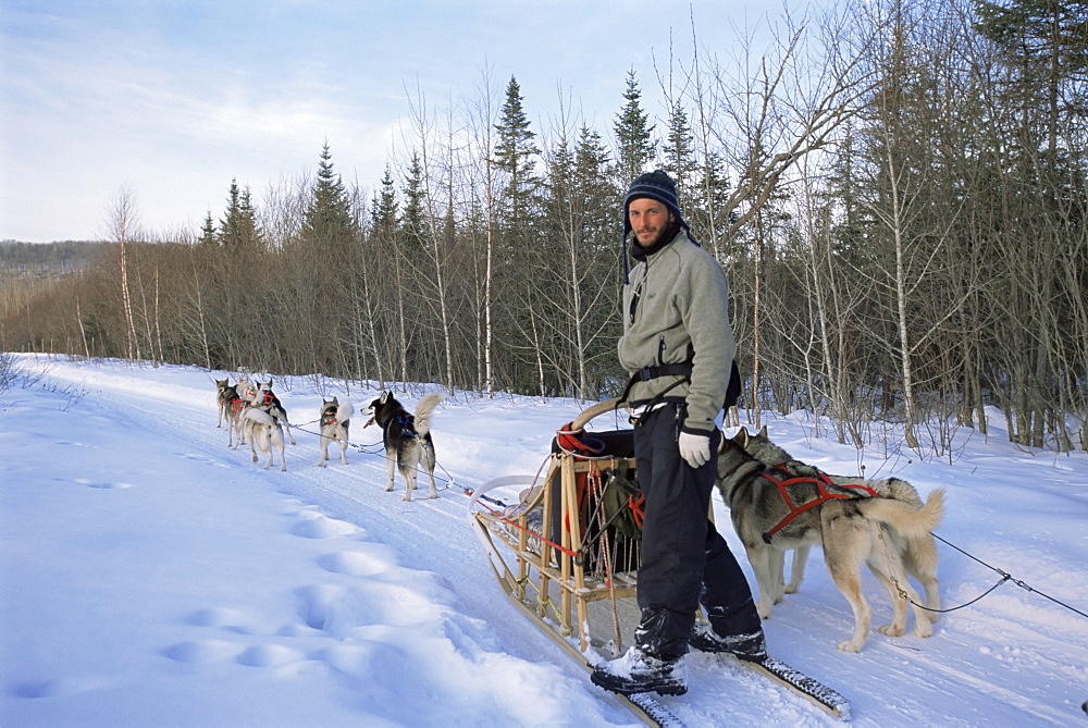 Dog sledding with Aventure Inukshuk, Quebec, Canada, North America