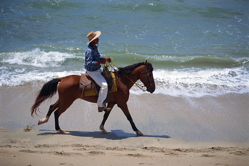 Side view of a man on a horse riding along a beach at the water's edge, Bucerias, Mexico, North America