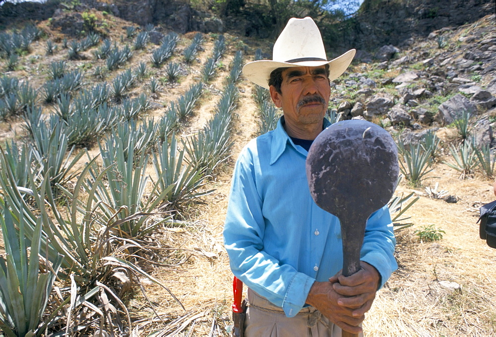 Tequila plantation worker, Mexico, North America