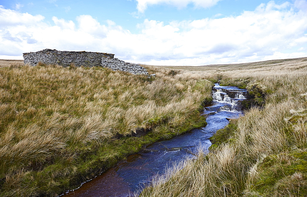 Yorkshire Dales, North Yorkshire, Yorkshire, England, United Kingdom, Europe