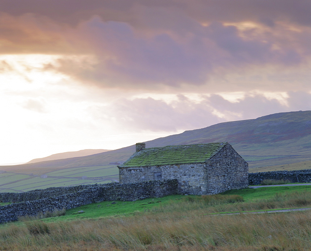 Farm building, Swaledale, Yorkshire Dales National Park, Yorkshire, England, UK, Europe