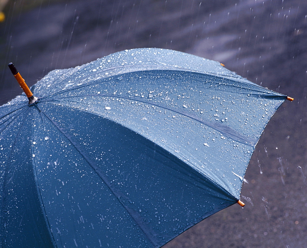 Rain falling on an umbrella 