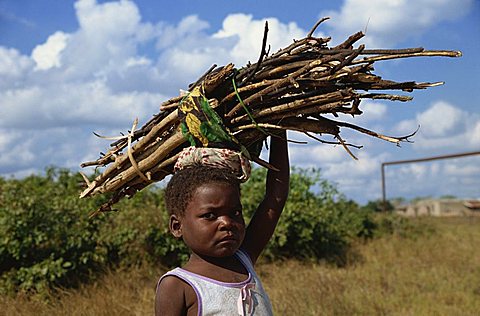 Girl carrying firewood, Mozambique, Africa