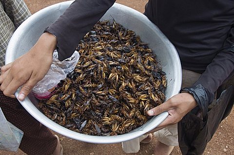 Market, Cambodia, Indochina, Southeast Asia, Asia