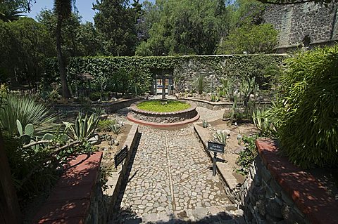 Gardens in Guanajuato, Guanajuato State, Mexico, North America