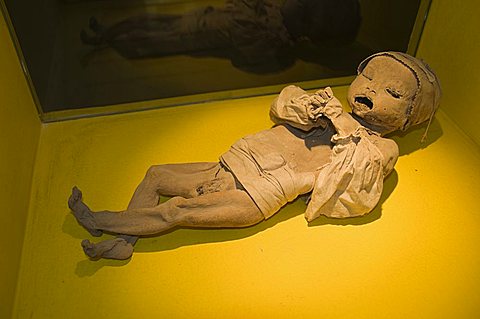 The Mummy Museum (Museo de las Momias) in Guanajuato, a World Heritage Site, Guanajuato, Guanajuato State, Mexico, North America