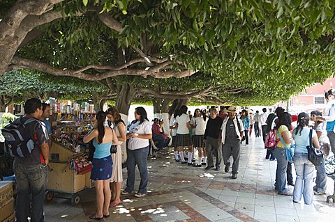 In the main square or Jardin de la Union in Guanajuato, a UNESCO World Heritage Site, Guanajuato State, Mexico, North America