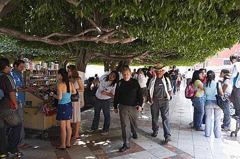 In the main square or Jardin de la Union in Guanajuato, a UNESCO World Heritage Site, Guanajuato State, Mexico, North America