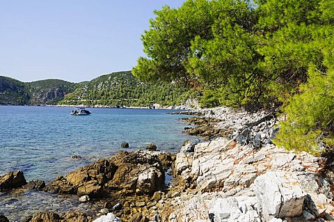 Near Agnotas, Skopelos, Sporades Islands, Greek Islands, Greece, Europe