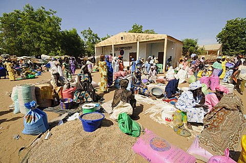 Market at Ngueniene, near Mbour, Senegal, West Africa, Africa