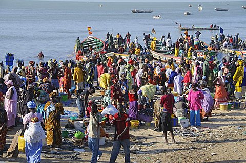 Mbour Fish Market, Mbour, Senegal, West Africa, Africa