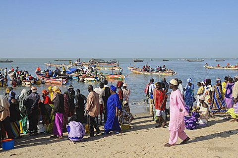 Mbour Fish Market, Mbour, Senegal, West Africa, Africa