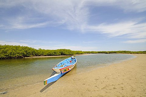 Pirogue or fishing boat on the backwaters of the Sine Saloum Delta, Senegal, West Africa, Africa