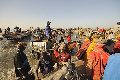 Unloading fishing boats (pirogues), Mbour Fish Market, Mbour, Senegal, West Africa, Africa