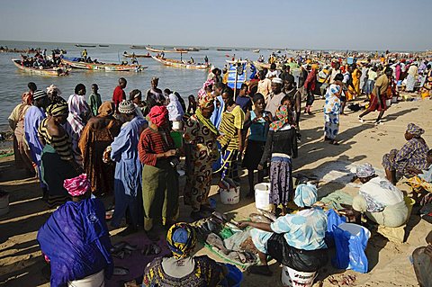 Mbour Fish Market, Mbour, Senegal, West Africa, Africa