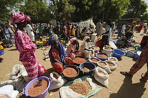 Market at Ngueniene, near Mbour, Senegal, West Africa, Africa