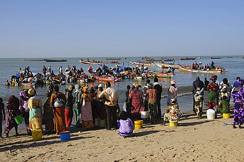 Mbour Fish Market, Mbour, Senegal, West Africa, Africa