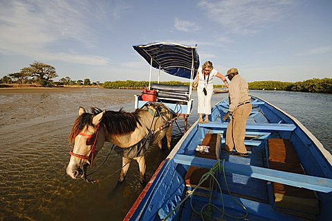 Delivering passangers to pirogue or fishing boat on the backwaters of the Sine Saloum delta, Senegal, West Africa, Africa