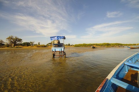 Horse and cart, Sine Saloum Delta, Senegal, West Africa, Africa