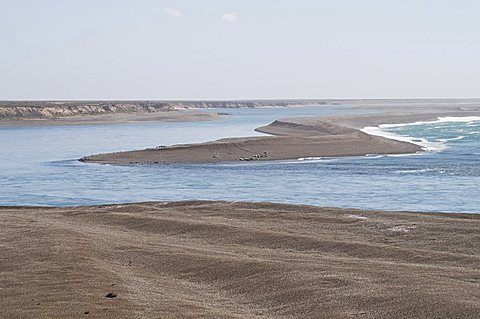 Valdes Peninsula, Patagonia, Argentina, South America