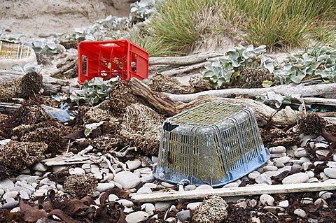 Plastic on beach, Carcass Island, Falkland Islands, South America