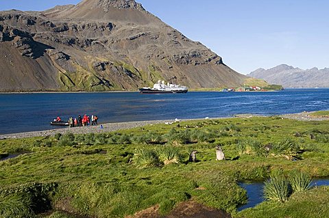 Grytviken, South Georgia, South Atlantic