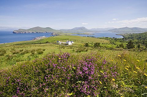 Valentia Island, Ring of Kerry, County Kerry, Munster, Republic of Ireland, Europe