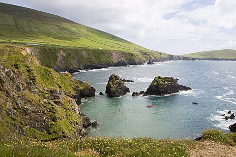 View from Slea Head Drive near Dunquin, Dingle Peninsula, County Kerry, Munster, Republic of Ireland, Europe