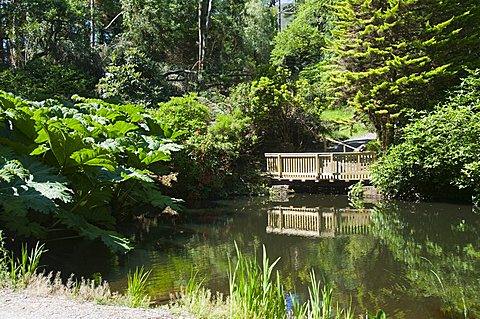 Botanical Gardens at Kells, Ring of Kerry, County Kerry, Munster, Republic of Ireland, Europe