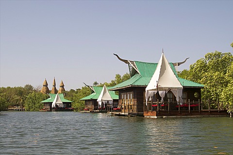 Mandina Lodge, Makasutu Forest, near Banjul, Gambia, West Africa, Africa