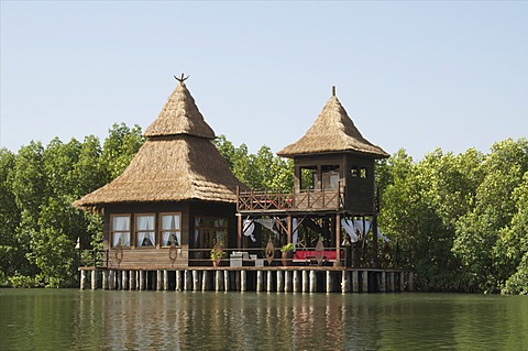 Mandina Lodge, Makasutu Forest, near Banjul, Gambia, West Africa, Africa