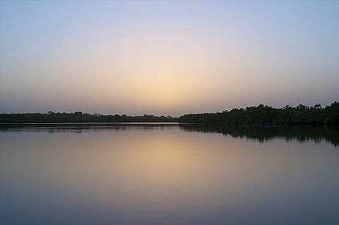 Mangroves at sunset, Gambia, West Africa, Africa