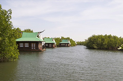 Mandina Lodge, Makasutu Forest, near Banjul, Gambia, West Africa, Africa