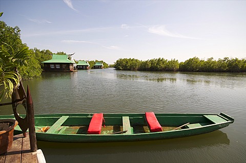 Mandina Lodge, Makasutu Forest, near Banjul, Gambia, West Africa, Africa