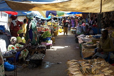 Royal Albert Market, Banjul, Gambia, West Africa, Africa