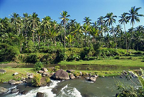 River valley at Kupa Kupa Barong, near Ubud, Bali, Indonesia, Southeast Asia, Asia