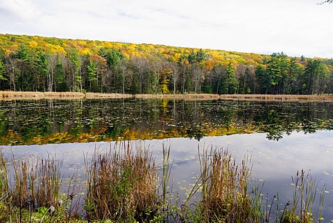 Lake near Great Barrington, The Berkshires, Massachusetts, New England, United States of America, North America