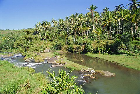 River valley, Kupa Kupa Barong near Ubud, Bali, Indonesia